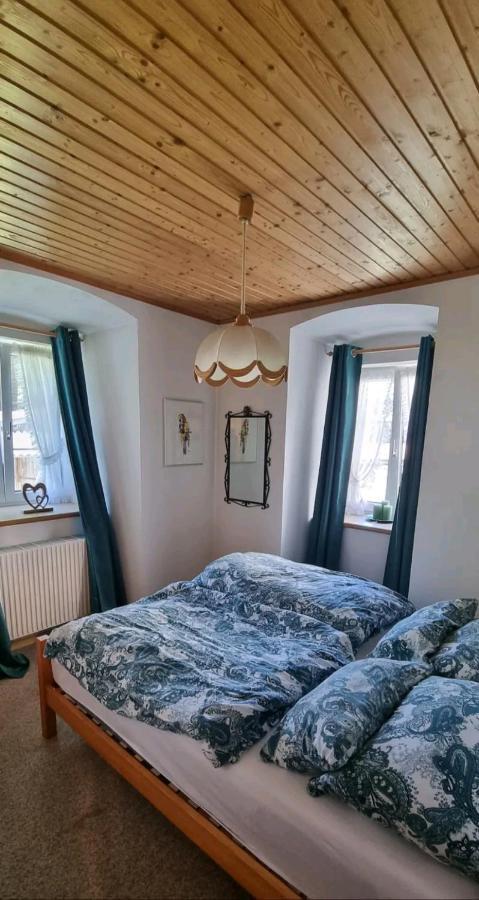 Turmhaus Trieben Wohnung 1 Екстериор снимка